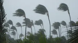 1656357571654-tropicalstorm_1