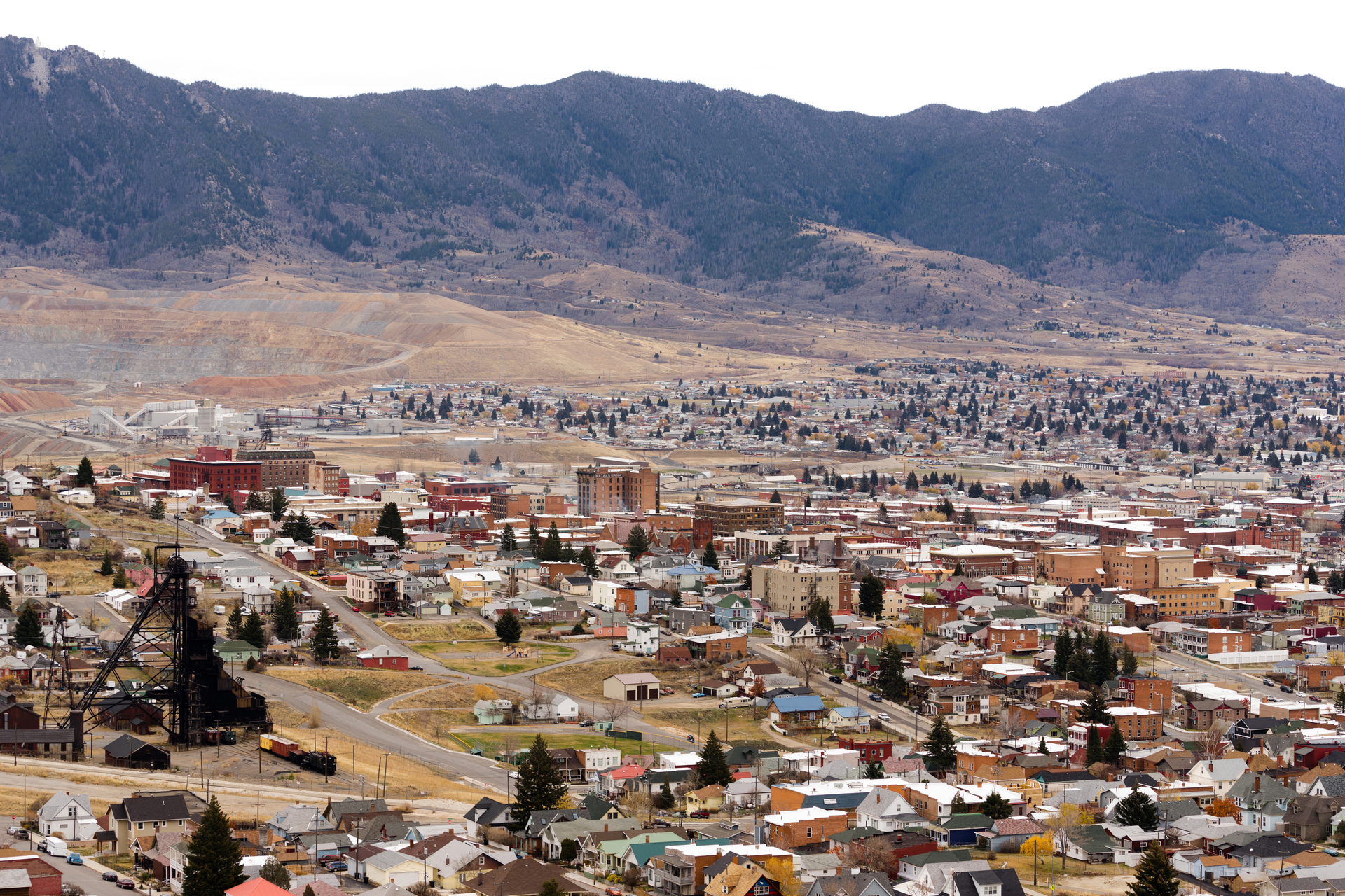 1680128078129 Dreamstime Xl 80055376