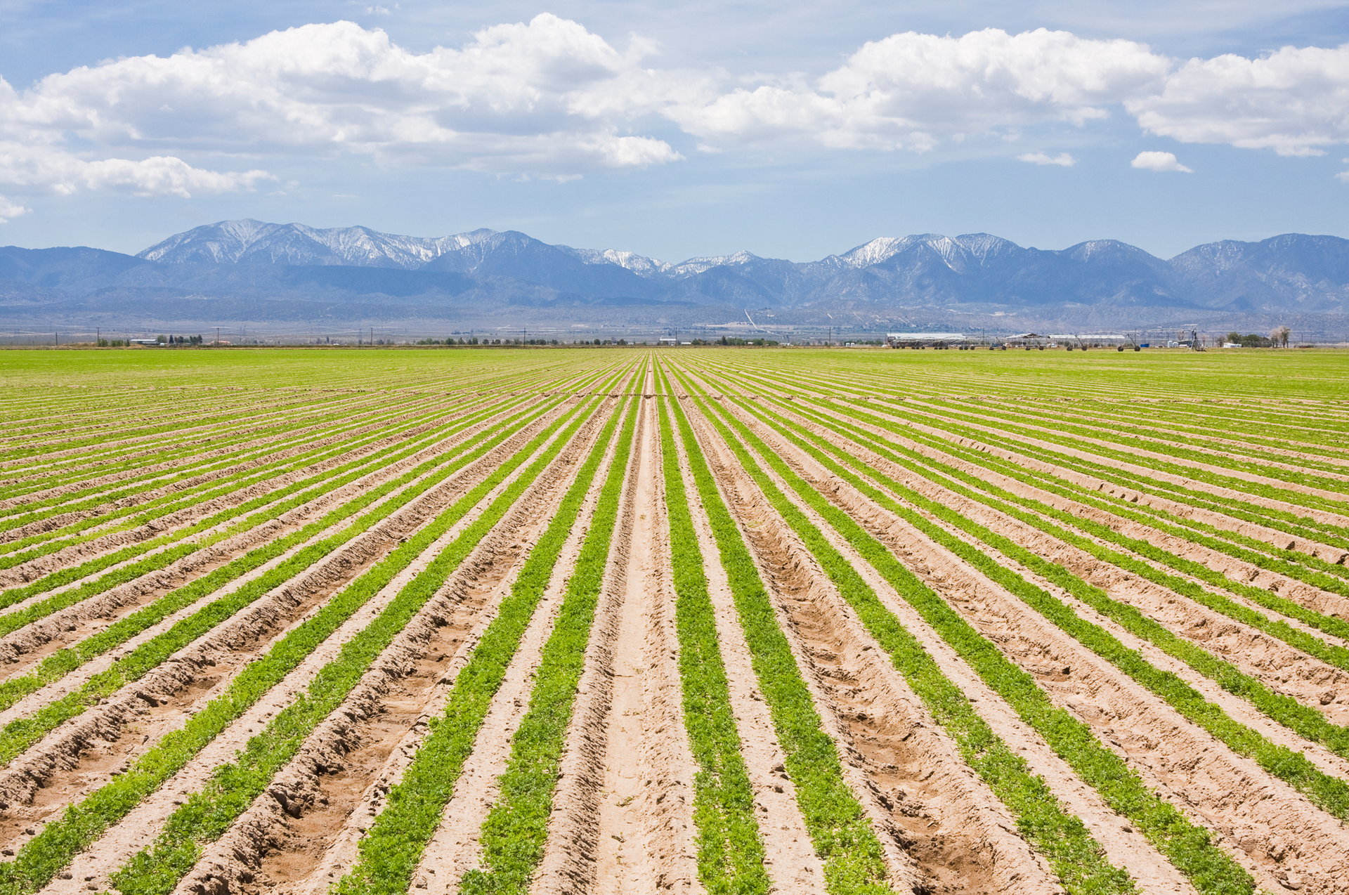 1680128549878 Dreamstime Xl 16369508