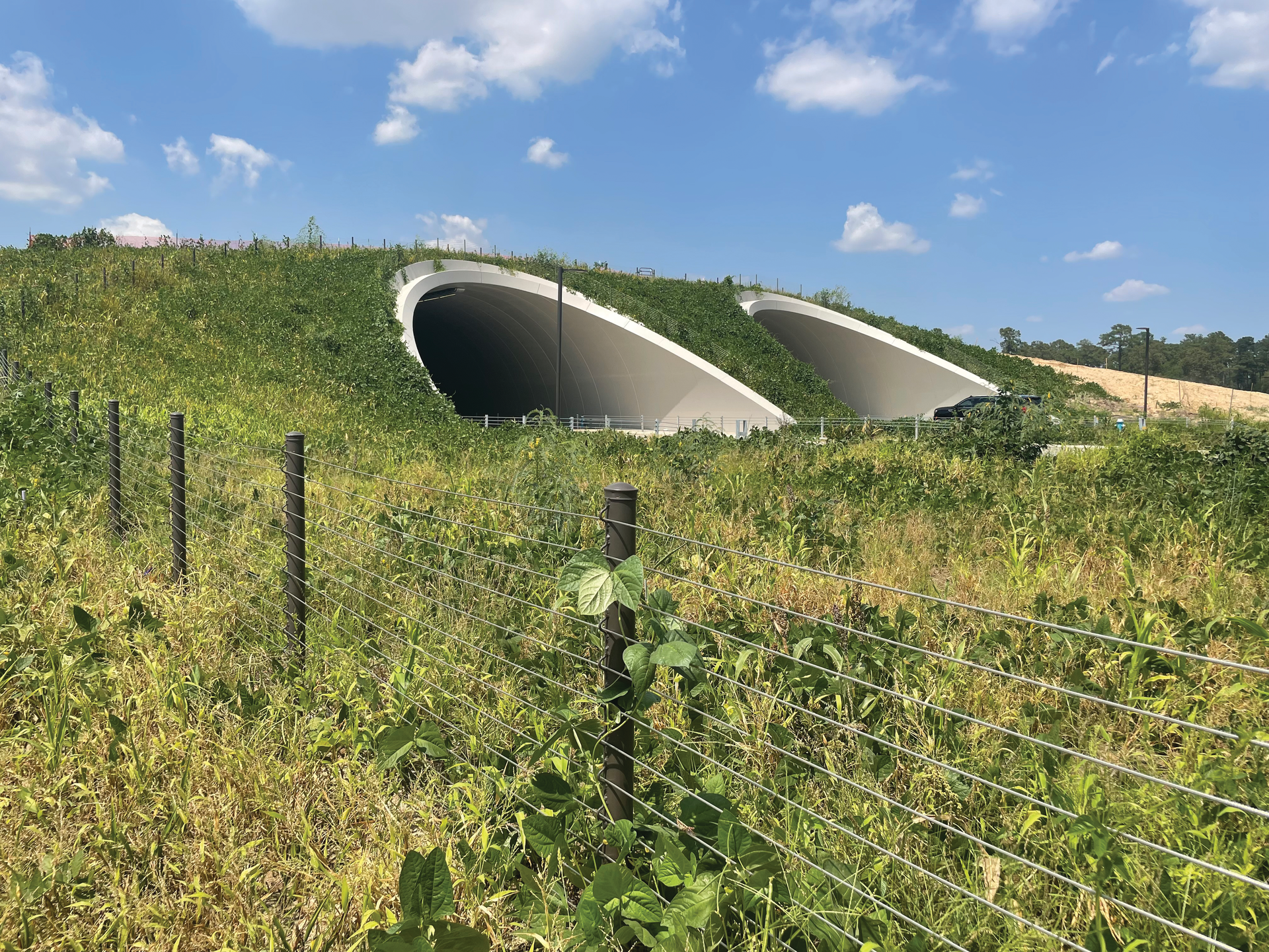 In 2018, more than 30,000 Houston residents, along with the city, created the Master Plan, which reimagines Memorial park