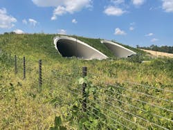 In 2018, more than 30,000 Houston residents, along with the city, created the Master Plan, which reimagines Memorial park In 2018, more than 30,000 Houston residents, along with the city, created the Master Plan, which reimagines Memorial park