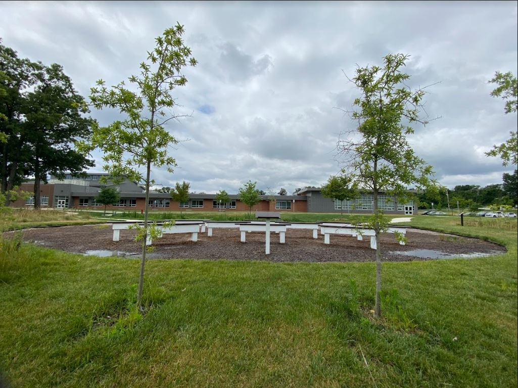 The native marsh plantings have all taken root and the project site is able to drain the most frequent rain events within 72 hours.