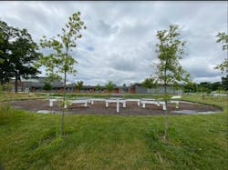 The native marsh plantings have all taken root and the project site is able to drain the most frequent rain events within 72 hours. The native marsh plantings have all taken root and the project site is able to drain the most frequent rain events within 72 hours.