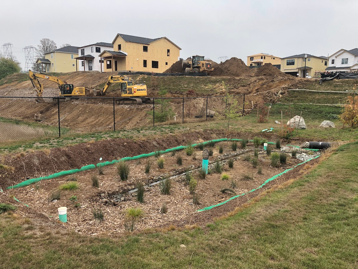 IMG_3058.635be8b24e8fb