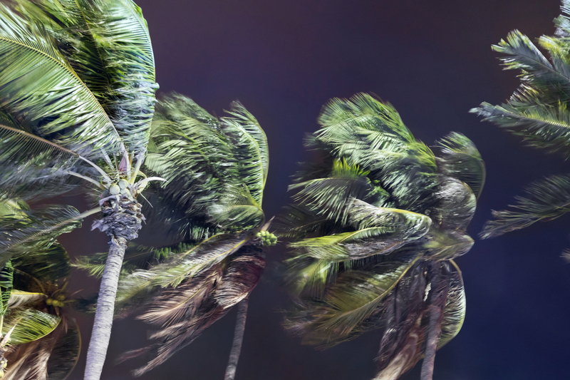 1680130254966 Hurricane Ian