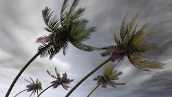 1680130272031 Florida Hurricane 1680130272031 Florida Hurricane