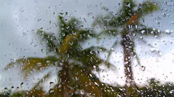 tropical_storm.6310d7fb966b4