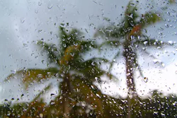 1680130634778 Tropical Storm