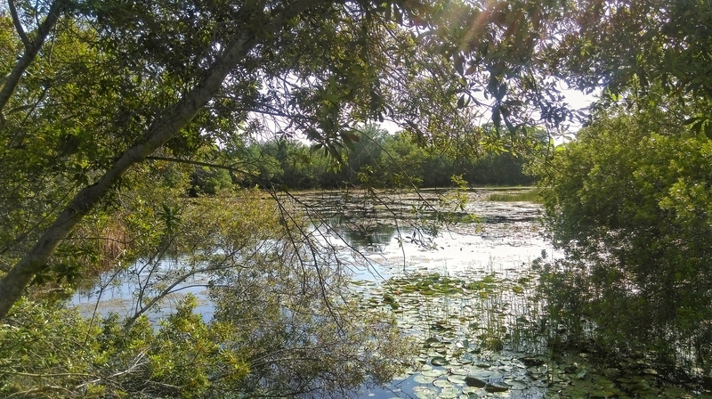 dreamstime_s_96579587.62ffc09c3edaa