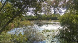 1680130871174 Dreamstime S 96579587 1680130871174 Dreamstime S 96579587