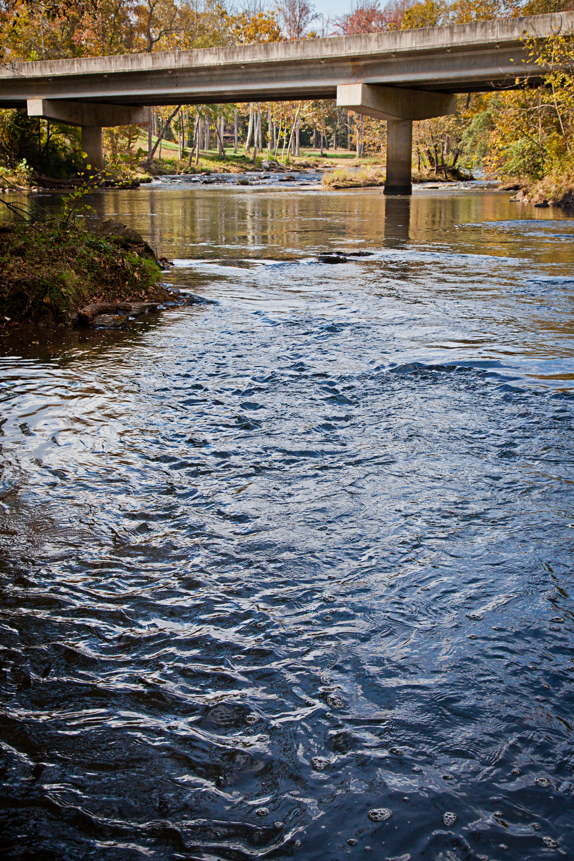 Woolpert_IDEAL_Greenville_County_2.62ffb18f001ab