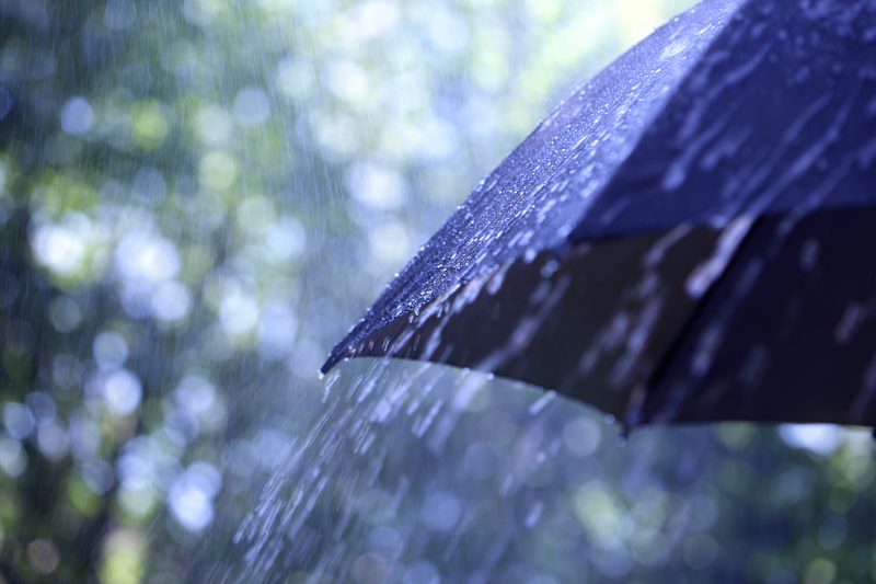 1680131022589 Rainfall