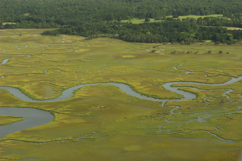1680131115955 Estuary