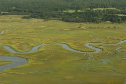 1680131115955 Estuary 1680131115955 Estuary