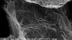 electron_microscope.62d1cfc588e76