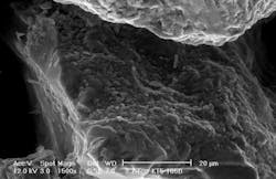 1680131267185 Electron Microscope 1680131267185 Electron Microscope