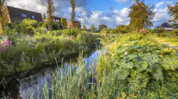 Some larger-scale developments have many LID options, including implementing vegetated bioswales and grass buffer strips along paved areas