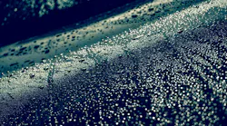 clean_water_act.62d06e5ccf983
