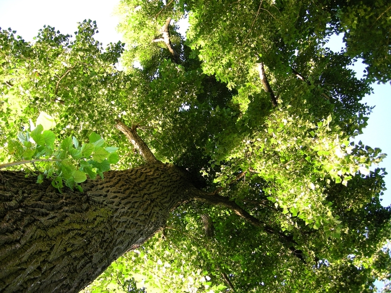 1680131441312 Environment