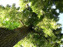 1680131441312 Environment 1680131441312 Environment