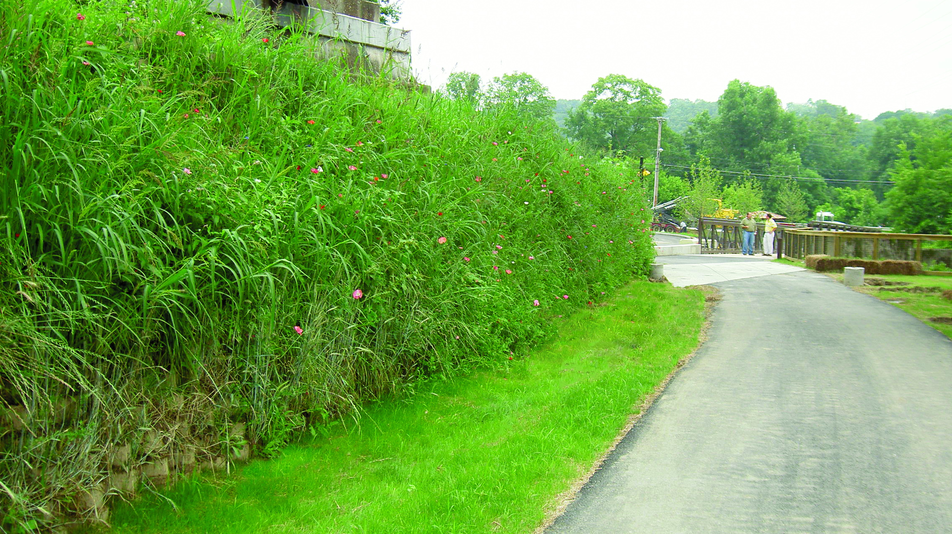 9633_GW_Wall_Trail.6362aec4e093f