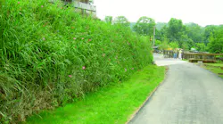 9633_GW_Wall_Trail.6362aec4e093f
