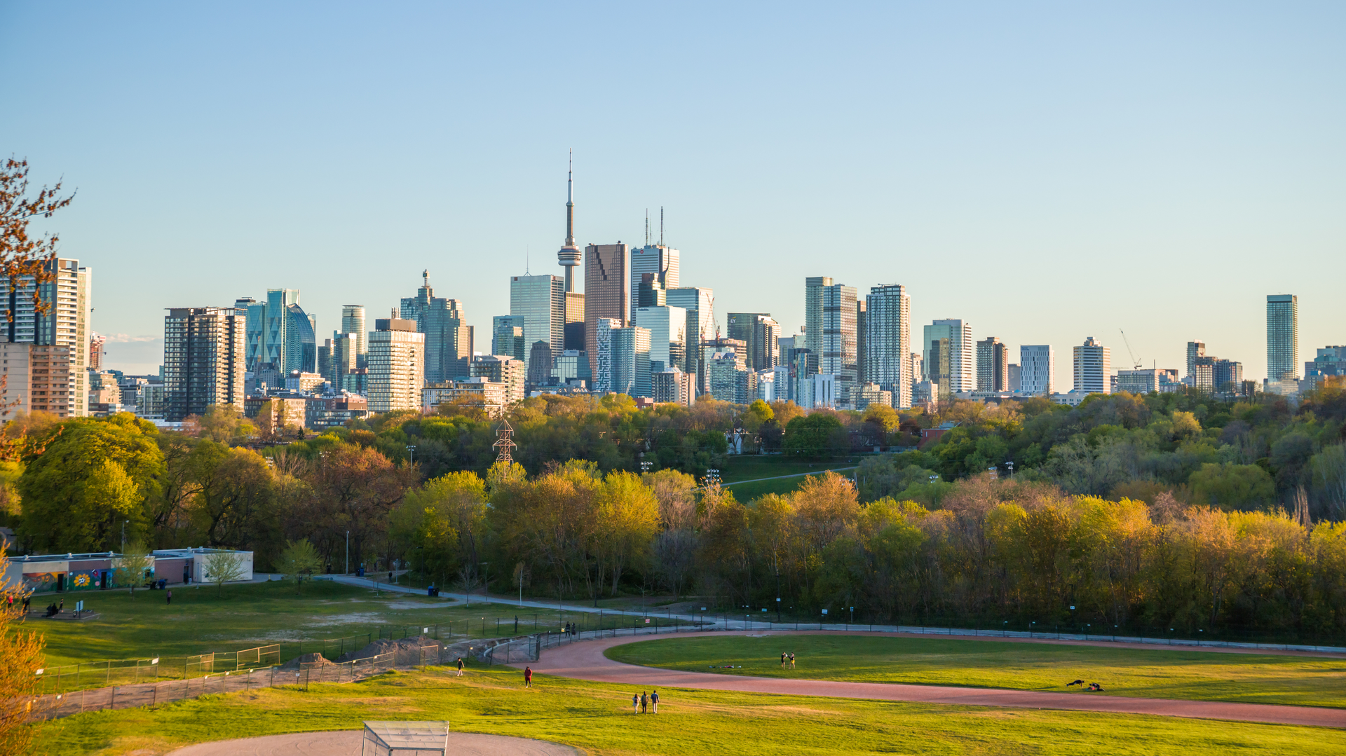 Green infrastructure includes both naturally occurring ecosystems, like woodlands, meadows and wetlands, as well as introduced vegetation like parks, gardens and street trees.