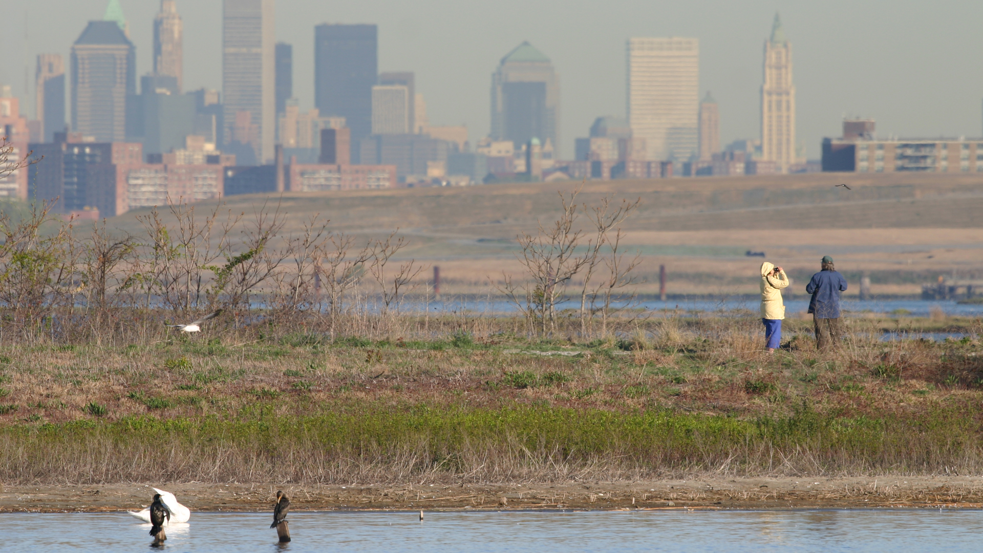 Dreamstime Xxl 1175510 64078848bcc95