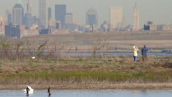 Dreamstime Xxl 1175510 64078848bcc95 Dreamstime Xxl 1175510 64078848bcc95