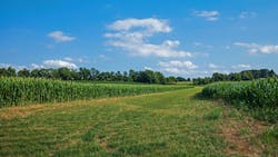 Dreamstime Xxl 252904051 6414bb996f909 Dreamstime Xxl 252904051 6414bb996f909