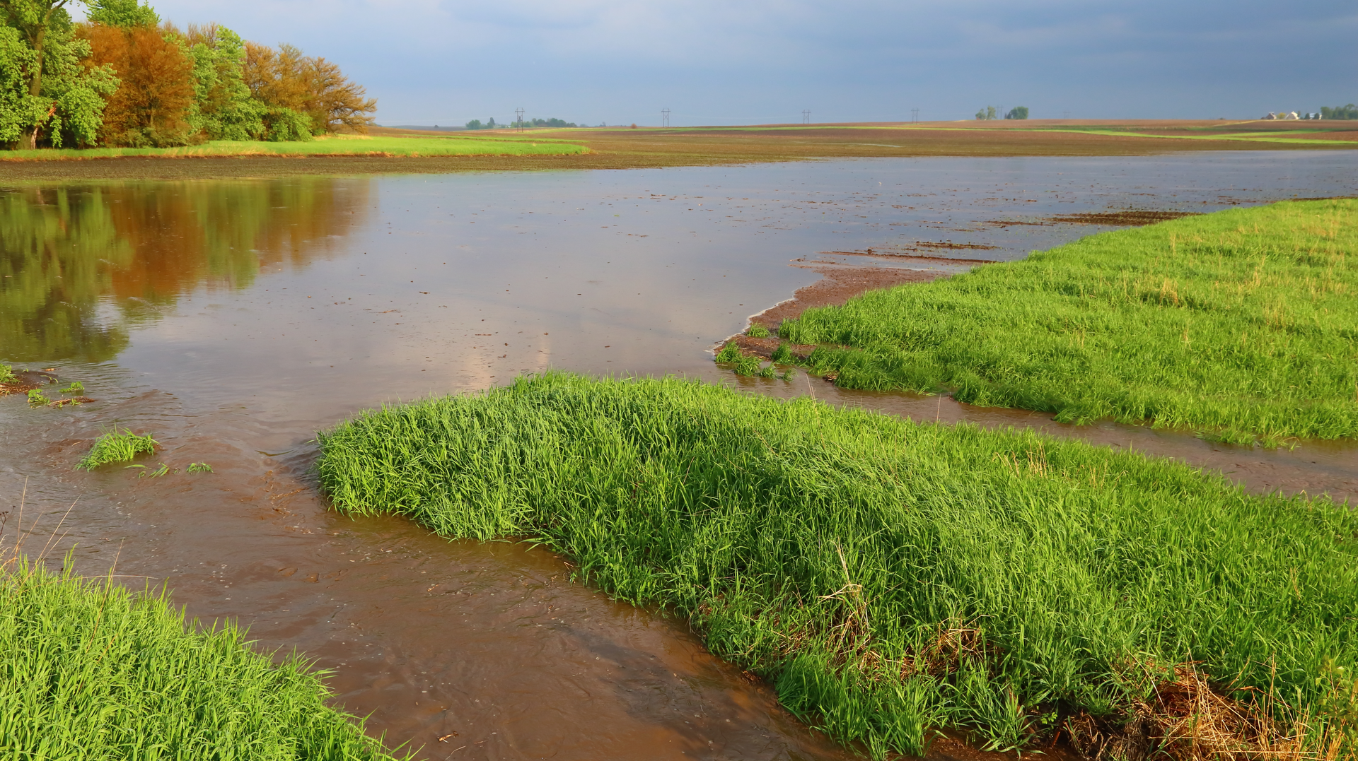 Dreamstime Xxl 40983645 640b593f7b65c