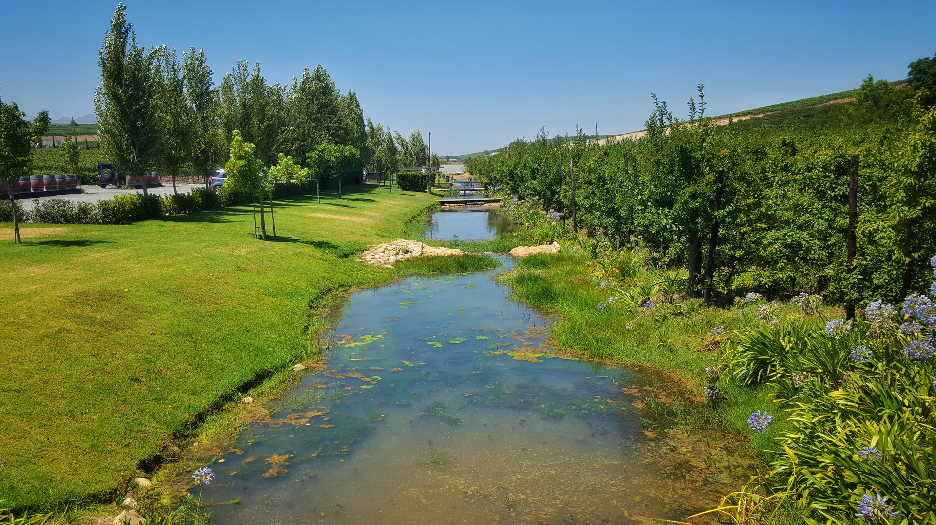 Dreamstime Xxl 83937550 641dc8aaba6ea