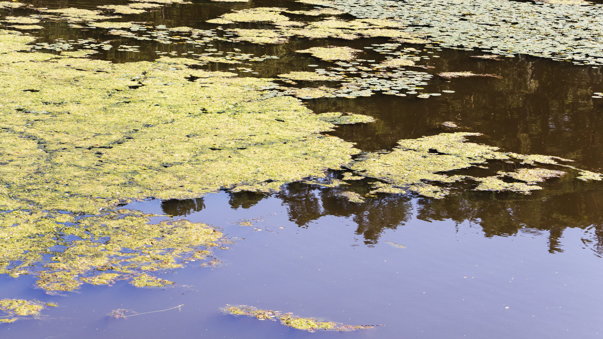 Dreamstime Xxl 122194265 644171095cec0