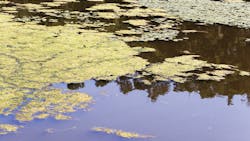 Dreamstime Xxl 122194265 644171095cec0 Dreamstime Xxl 122194265 644171095cec0