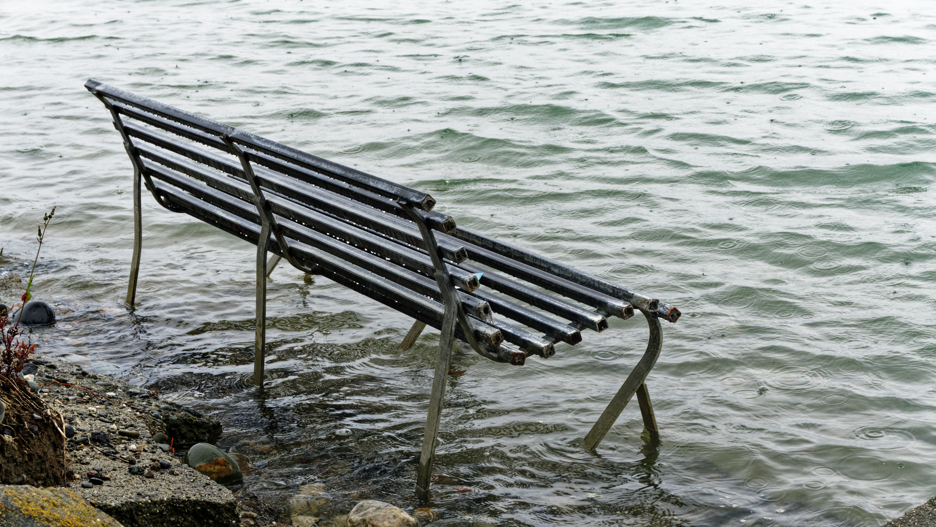 Dreamstime Xxl 133984274 6436d260455c7