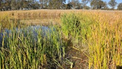 Dreamstime Xxl 15040559 6434351907766 Dreamstime Xxl 15040559 6434351907766