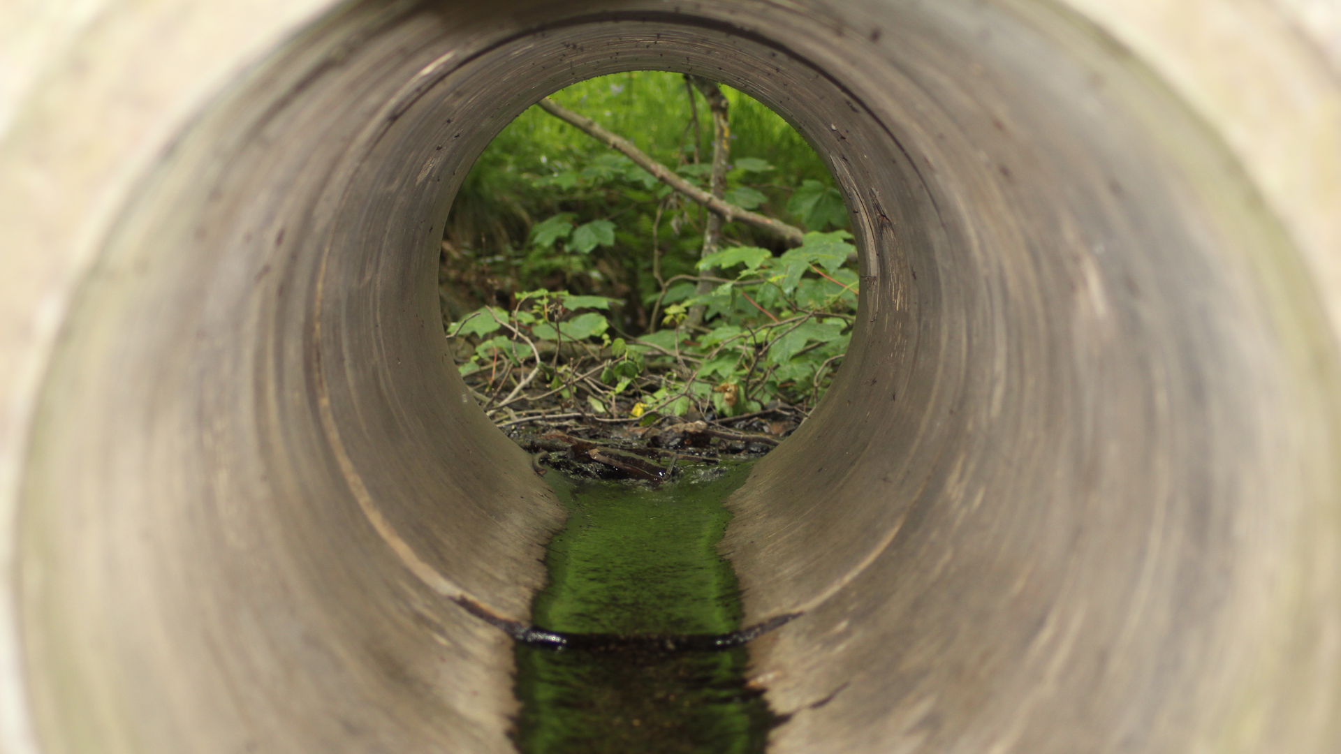 Dreamstime Xxl 19925311 643846203f1c5