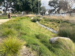 Biofiltration strips are part of the East LA Sustainable Median project. Biofiltration strips are part of the East LA Sustainable Median project.