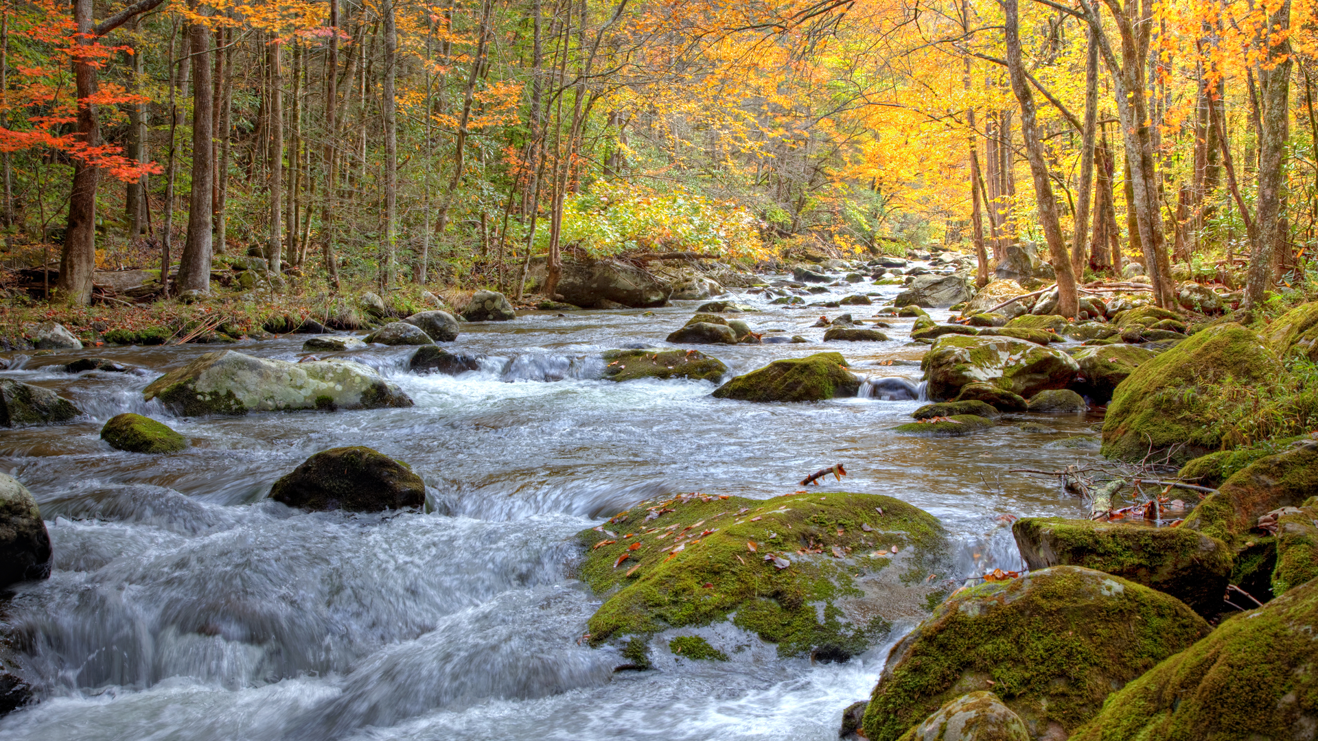 Dreamstime Xxl 11842769 64553e10e7b2a