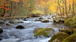 Dreamstime Xxl 11842769 Dreamstime Xxl 11842769