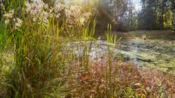 Dreamstime Xxl 184906435 64665bd9e04ac Dreamstime Xxl 184906435 64665bd9e04ac