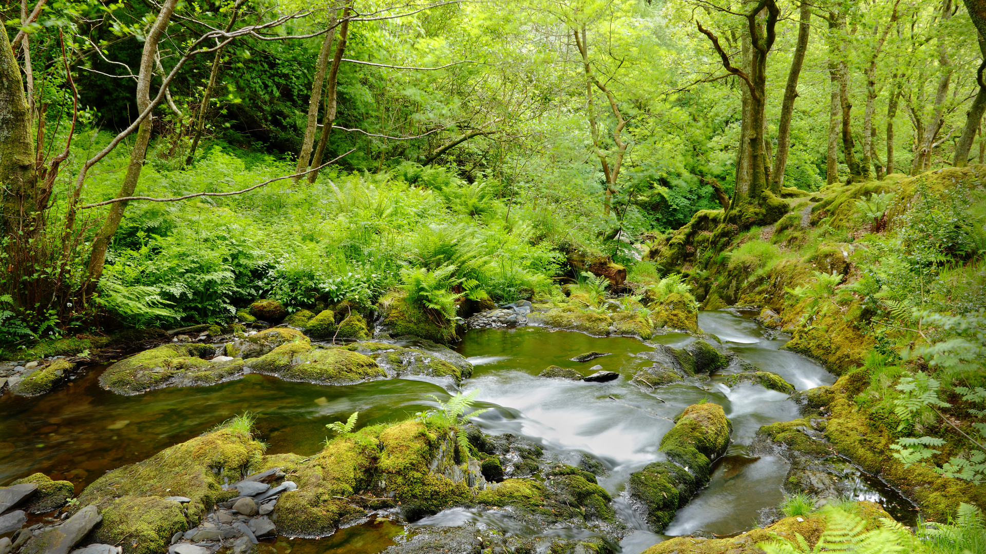 Dreamstime Xxl 19529546 645d417545bb1