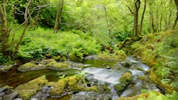 Dreamstime Xxl 19529546 645d417545bb1 Dreamstime Xxl 19529546 645d417545bb1