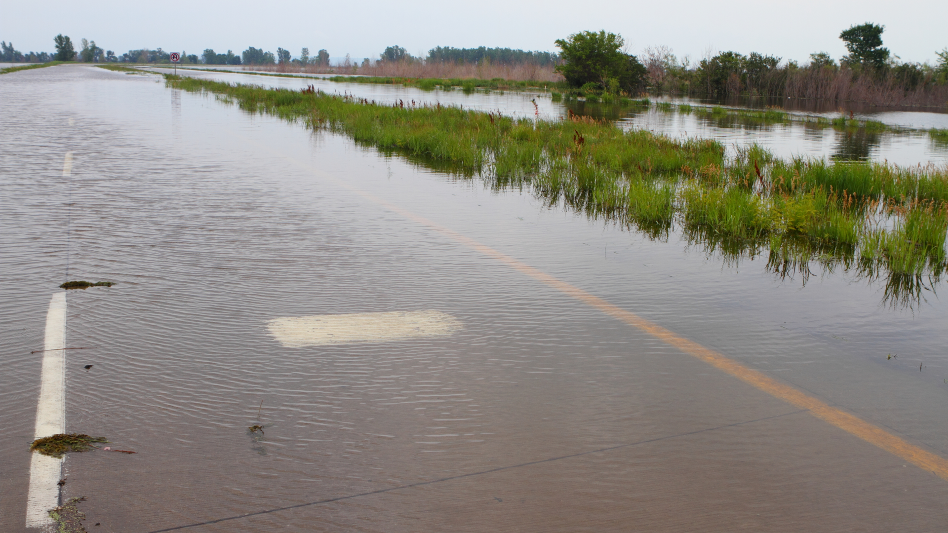 Dreamstime Xxl 20555913 6459375d6a3b3