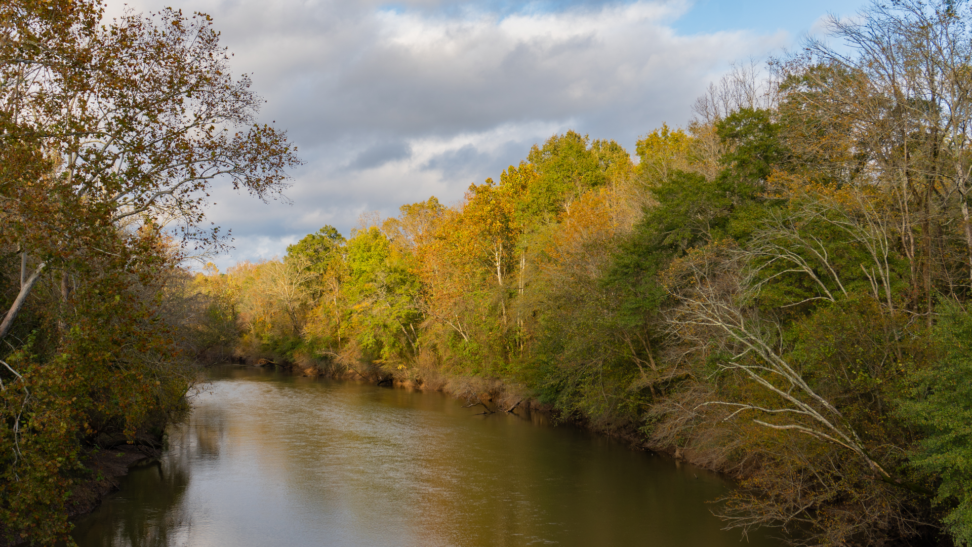 Dreamstime Xxl 206050829 645008c1b53c6