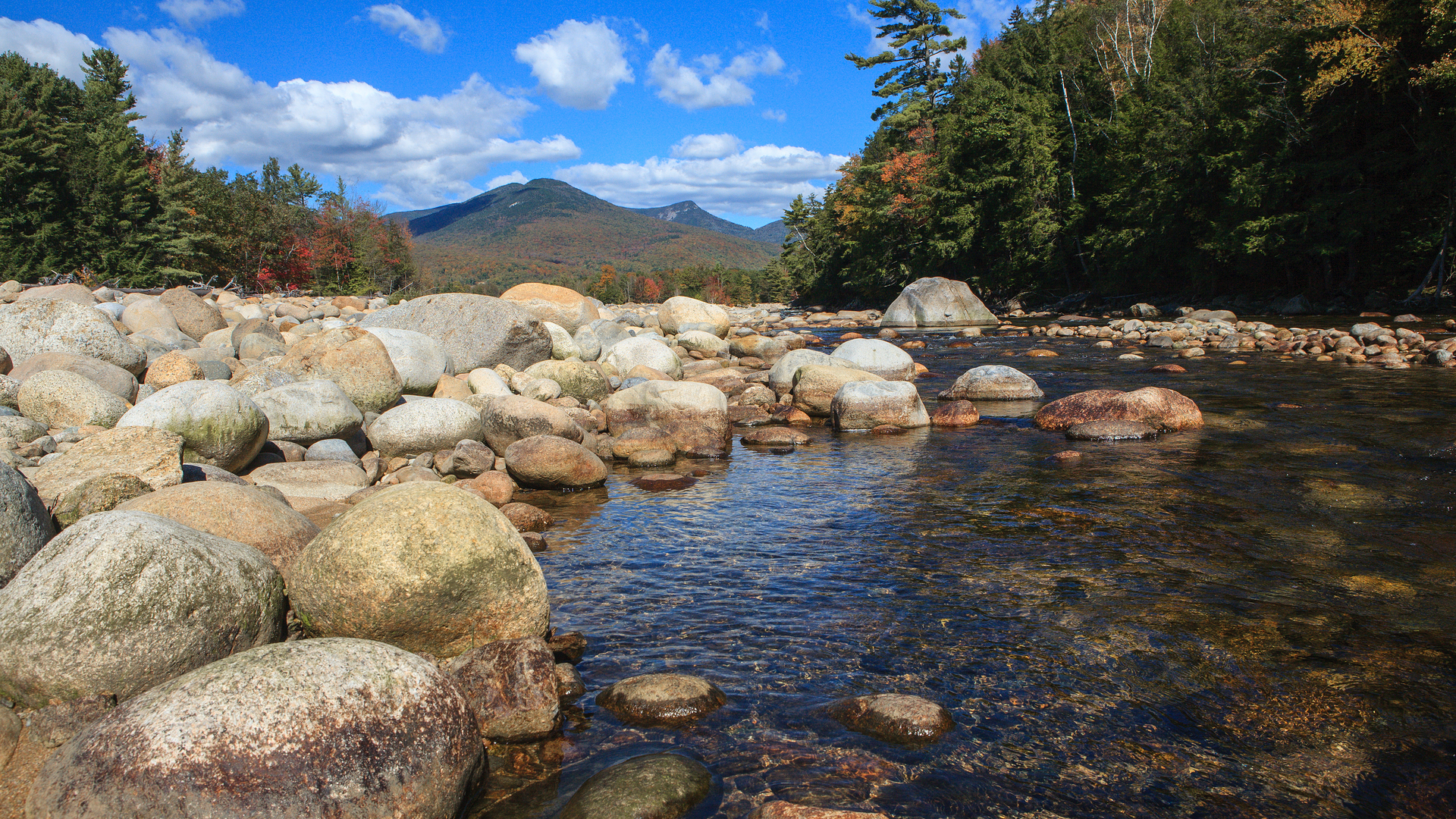 Dreamstime Xxl 43114609 6451503b39995