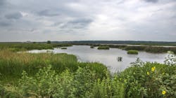 Dreamstime Xxl 43466337 646f96128a16f Dreamstime Xxl 43466337 646f96128a16f