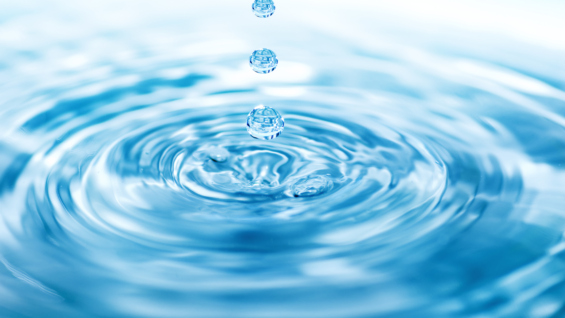 Dreamstime Xxl 4810172 6452889a6ba4f
