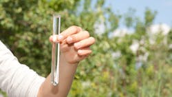 Dreamstime Xxl 33134537 64834eba7d8e1 Dreamstime Xxl 33134537 64834eba7d8e1