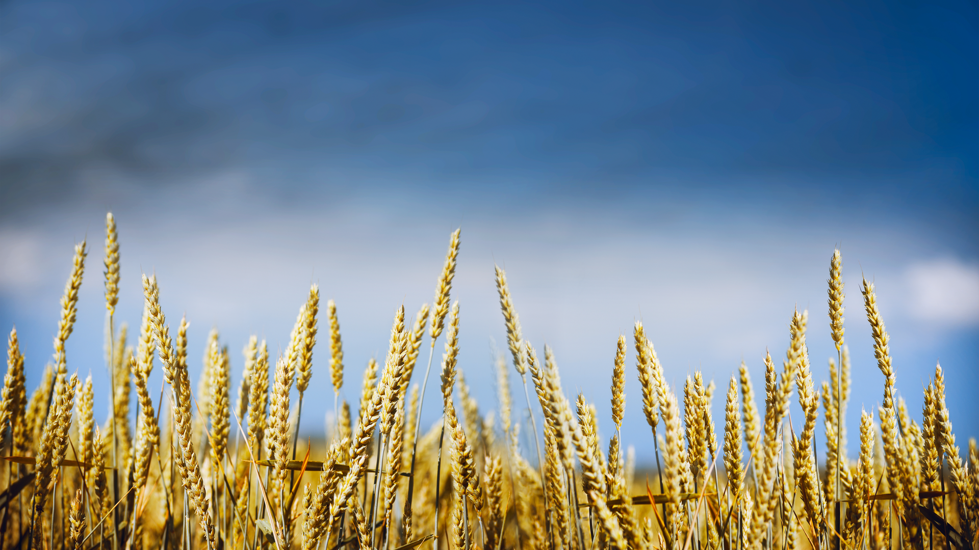 Dreamstime Xxl 55977149 649c518e93290